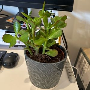 Meet your Posher, Claire xiaoting